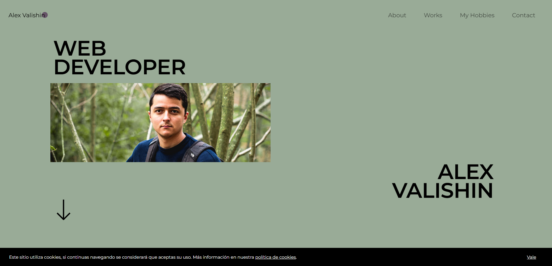 Proyecto portfolio de validev